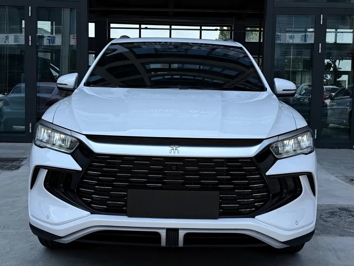 BYD Song Pro New Energy 2023 Champion Edition DM-i 110KM Excellence