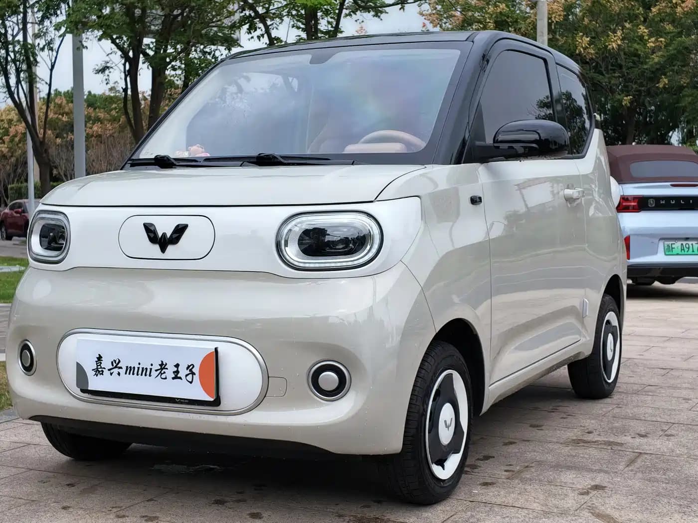 Wuling Motors Hongguang MINIEV 2024 3rd Generation 215km Youth Edition