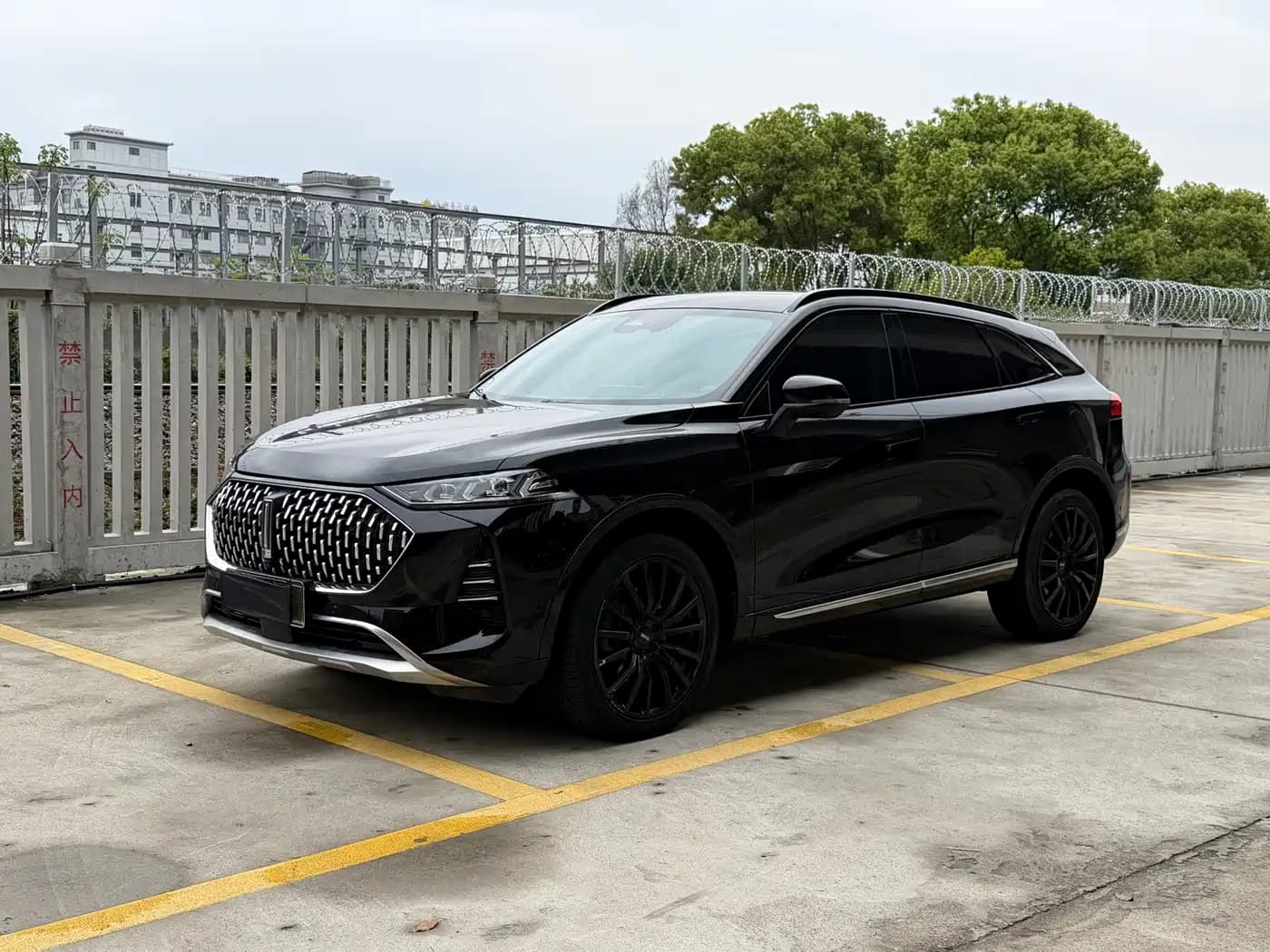Wey Mocha New Energy 2022 1.5T Zero-Anxiety Performance Edition