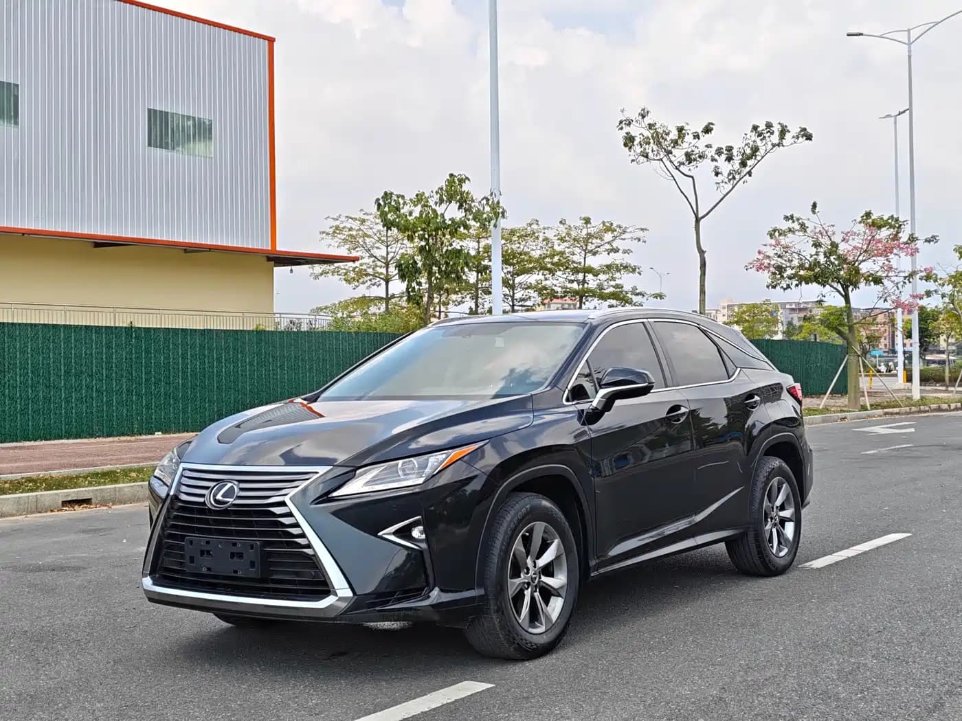 Lexus RX Lexus RX 2016 300 2WD Elite Edition (China V)