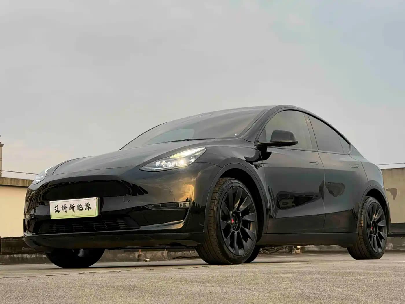 Tesla Model Y 2022 Rear-Wheel Drive Version