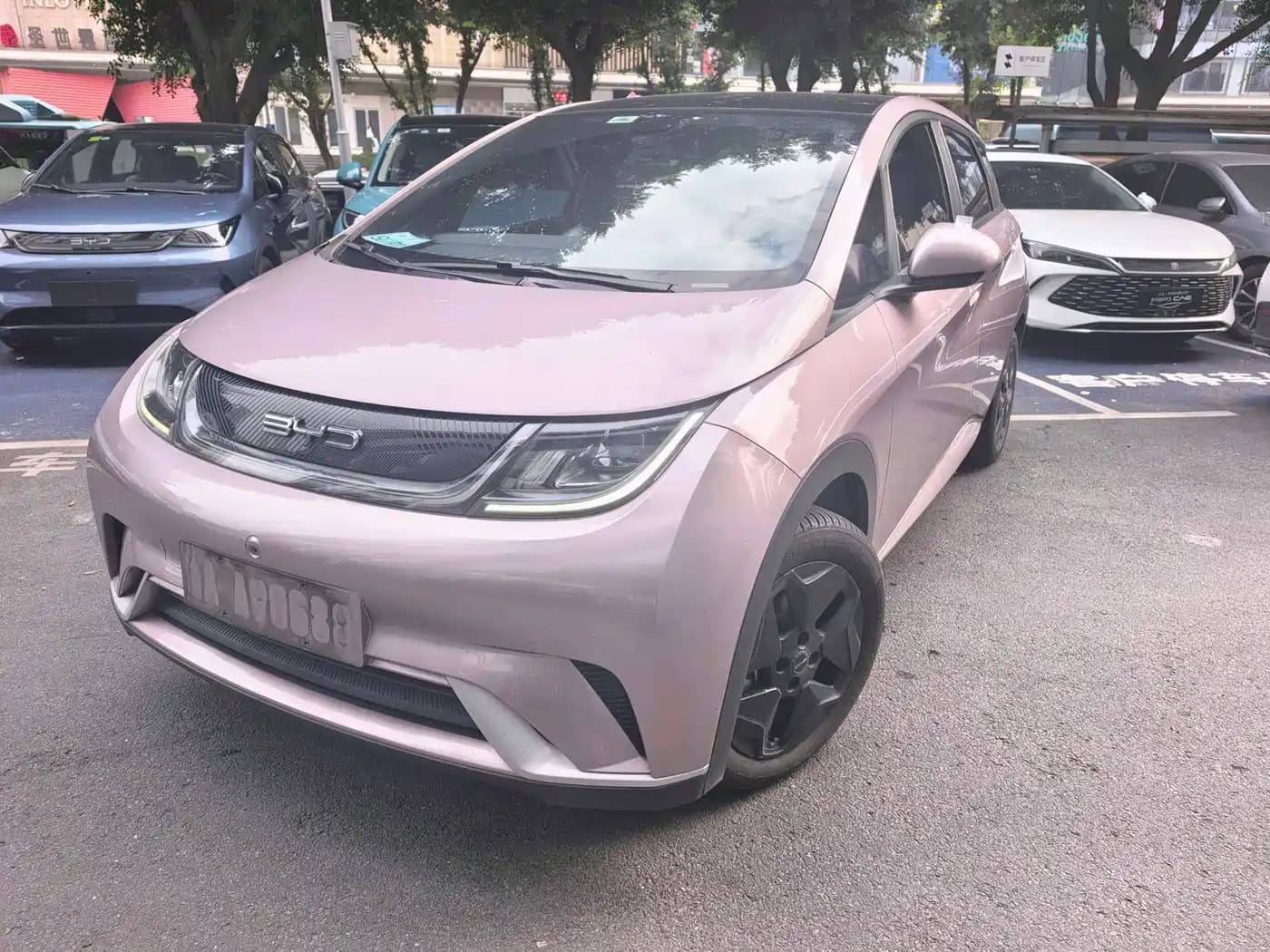 BYD Dolphin 2021 Model 405km Fashion Edition