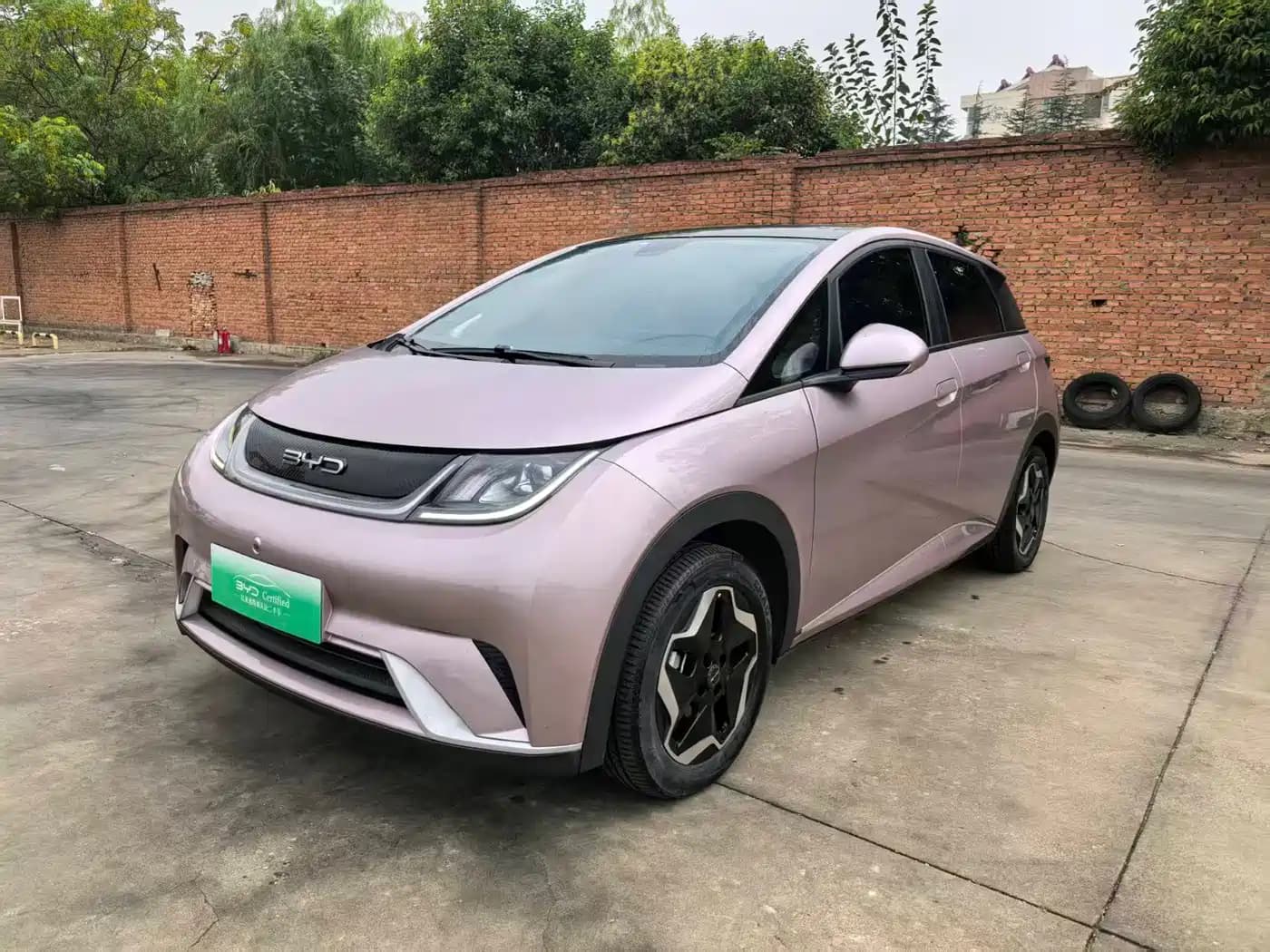 BYD Dolphin 2021 Model 405km Fashion Edition