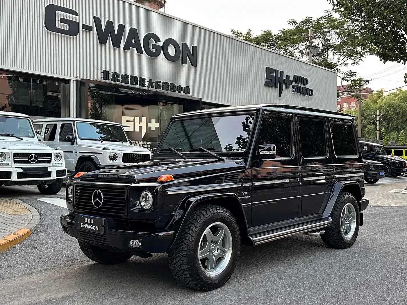 Mercedes-Benz G-Class AMG 2009 AMG G 55