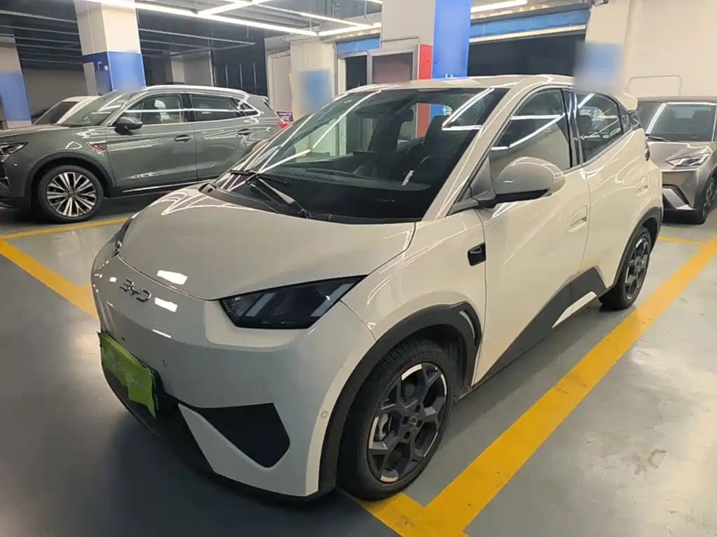 BYD Seagull 2025 Smart Drive Edition 305km Freedom Version