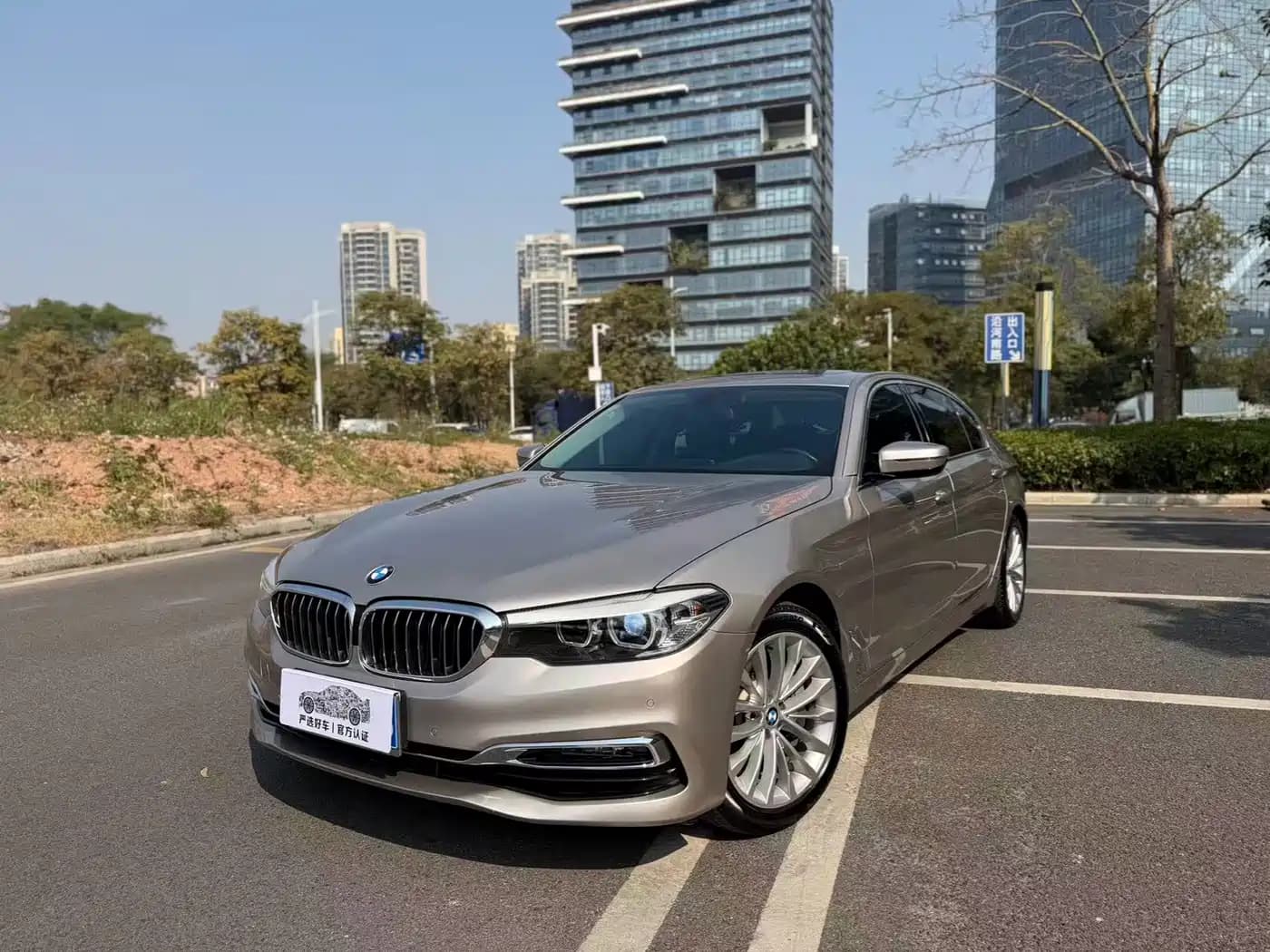 BMW BMW 5 Series 2019 530Li Leading Luxury Package