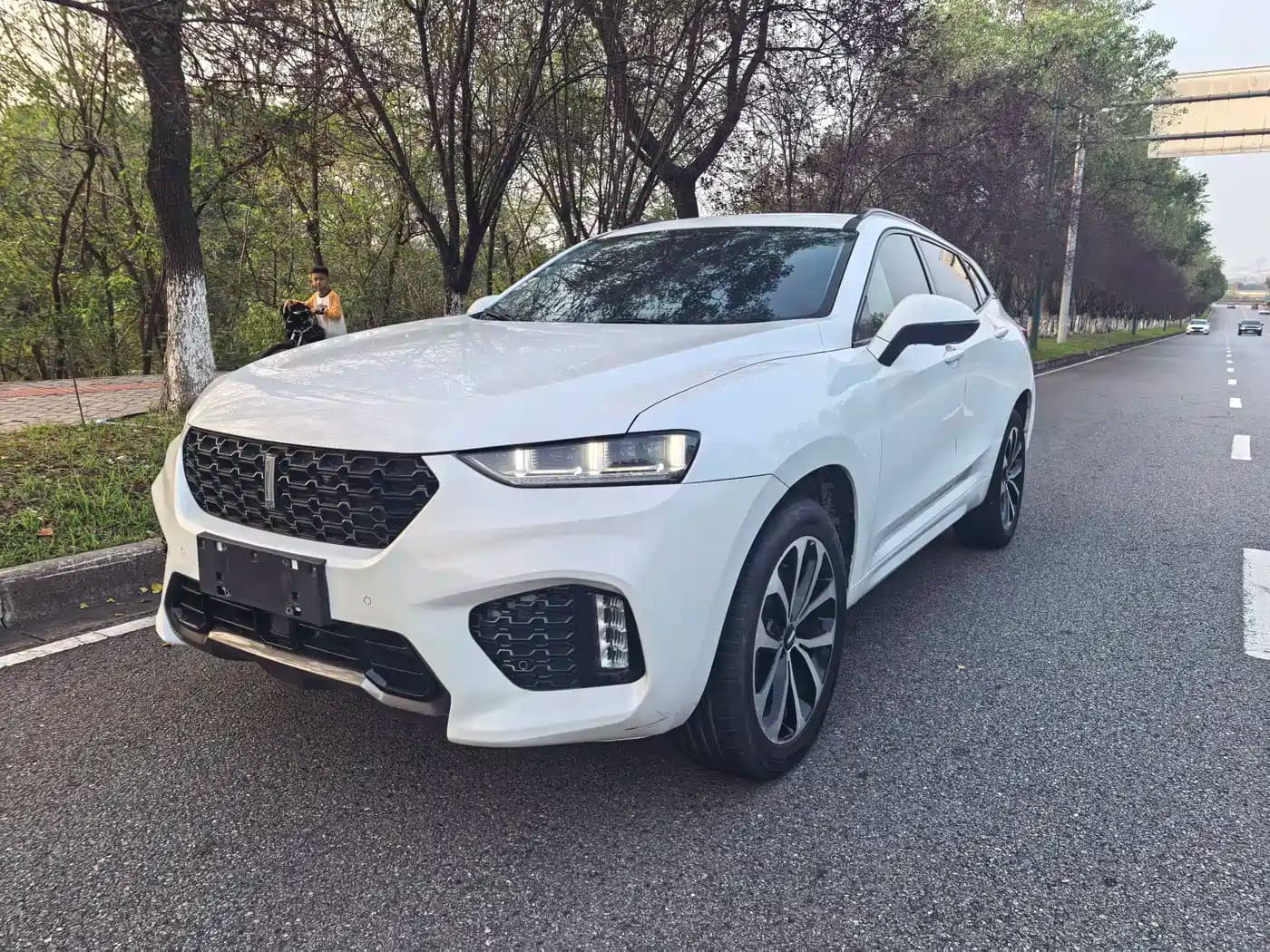 Wey VV7 2017 2.0T Luxury