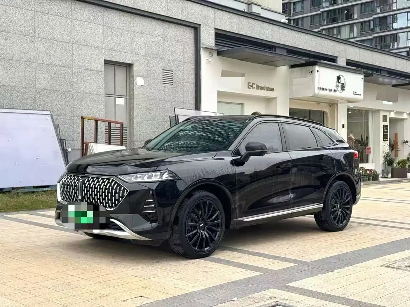 Wey Mocha New Energy 2022 1.5T Zero-Anxiety Performance Edition