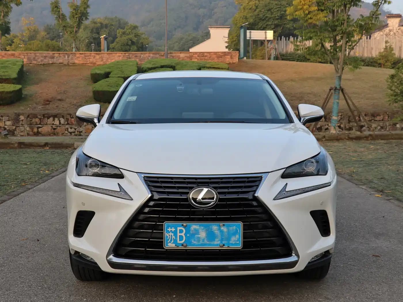 Lexus NX 2020 200 FWD Sharp Edition China V