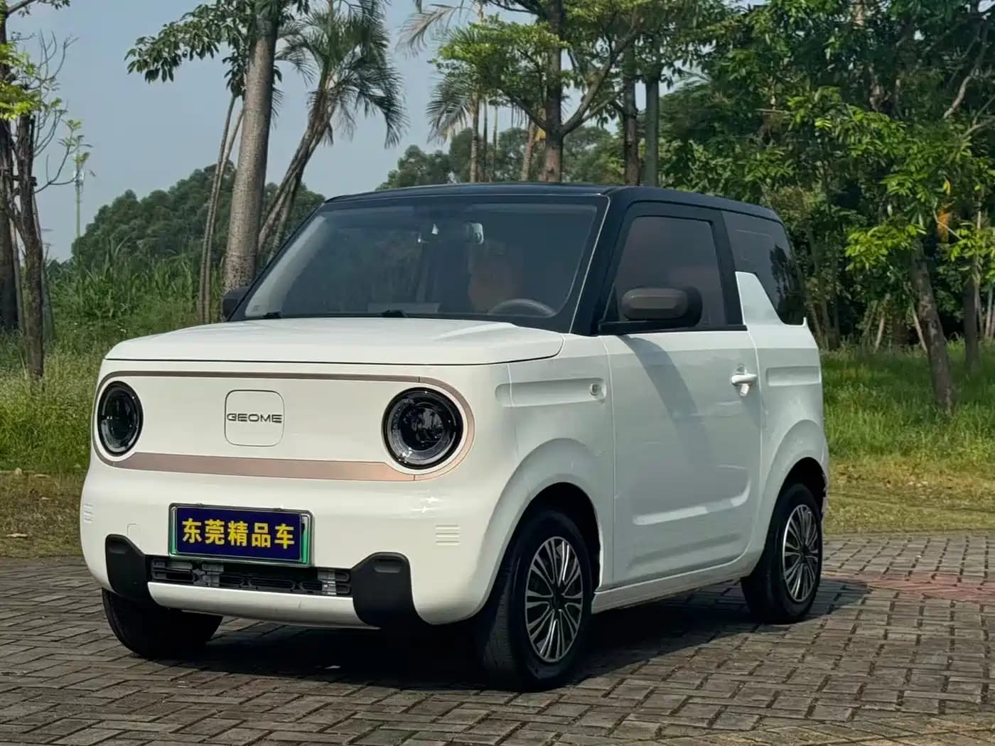 Geely Panda Mini Galaxy Panda 2023 200km Endurance Bear