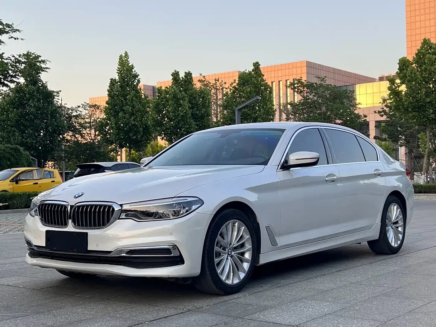BMW 5 Series 2020 530Li Leading Luxury Package