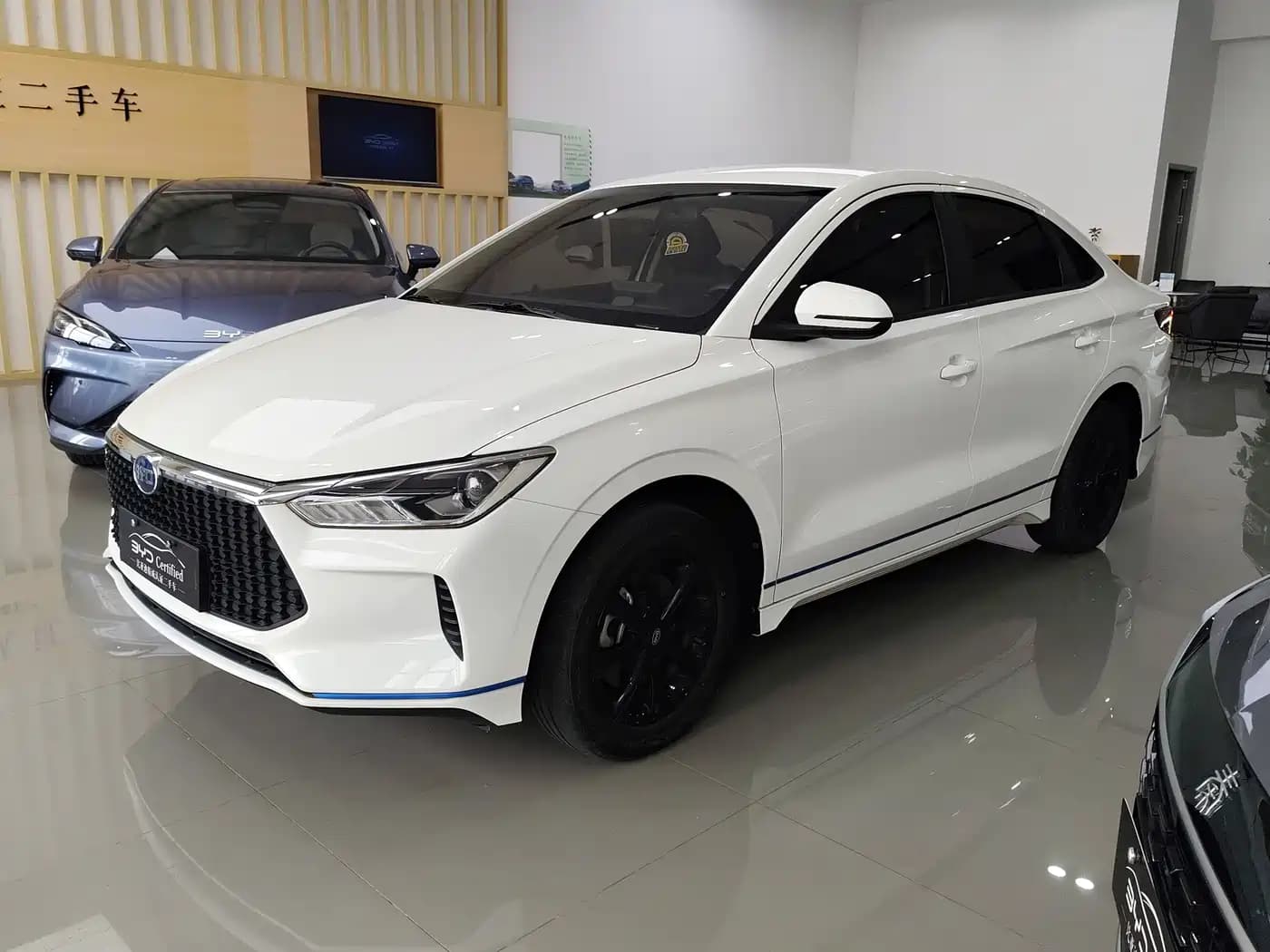 BYD e3 2021 Upgraded Edition Long Range Luxury