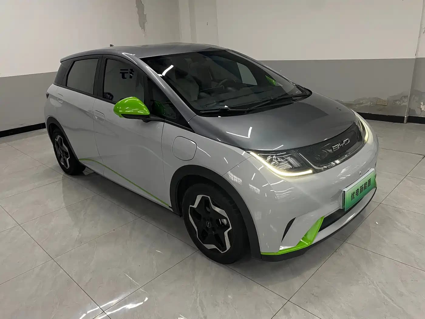 BYD Dolphin 2021 405km Freedom Edition