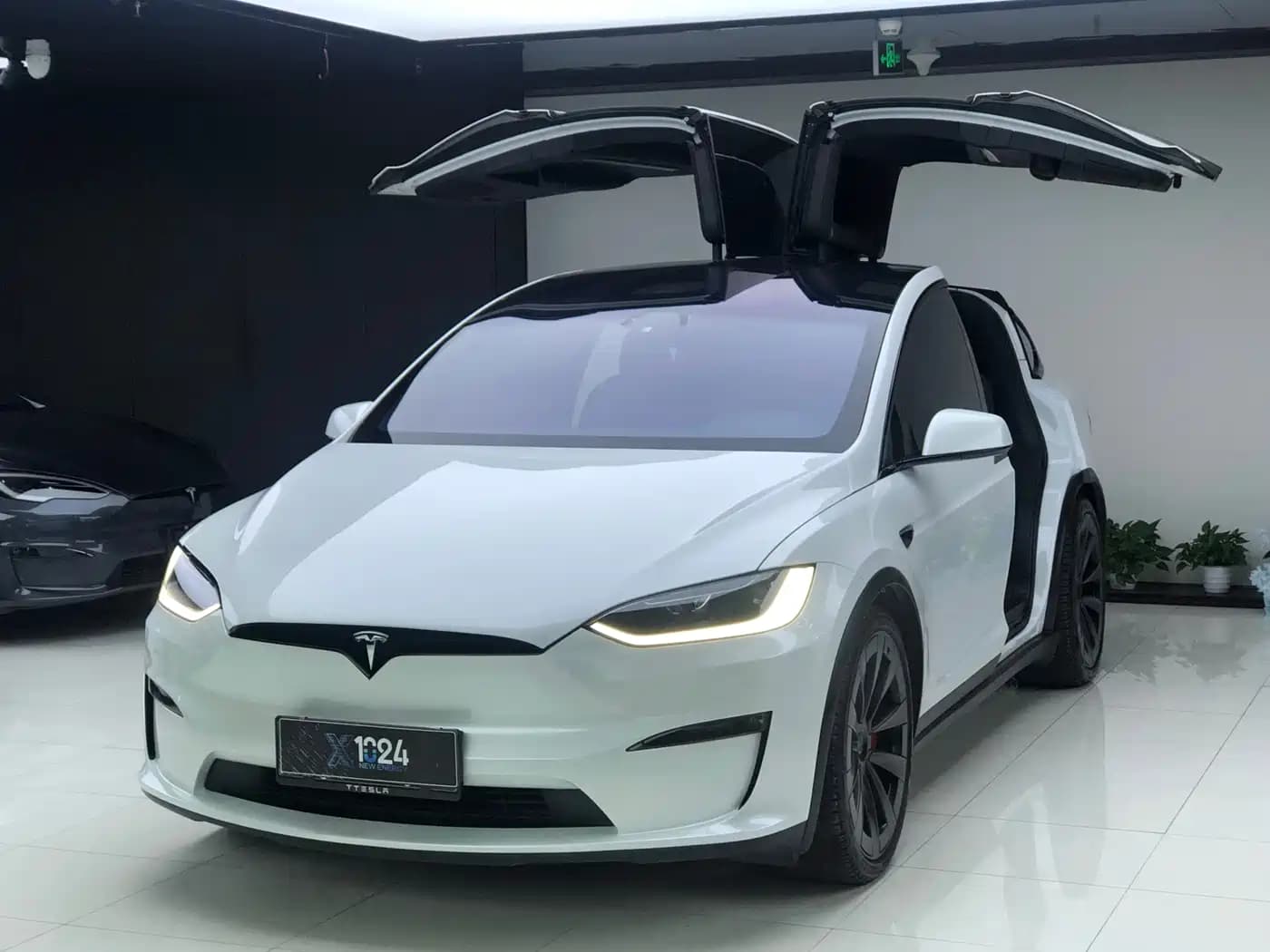Tesla Model X 2023 Tri-motor AWD Plaid