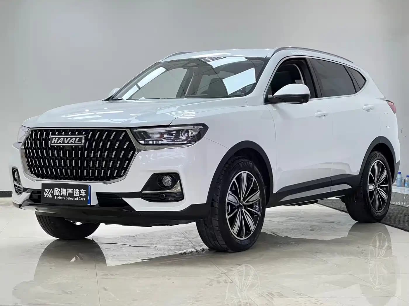 Haval H6 2023 National Trend Edition 1.5T Automatic Champion