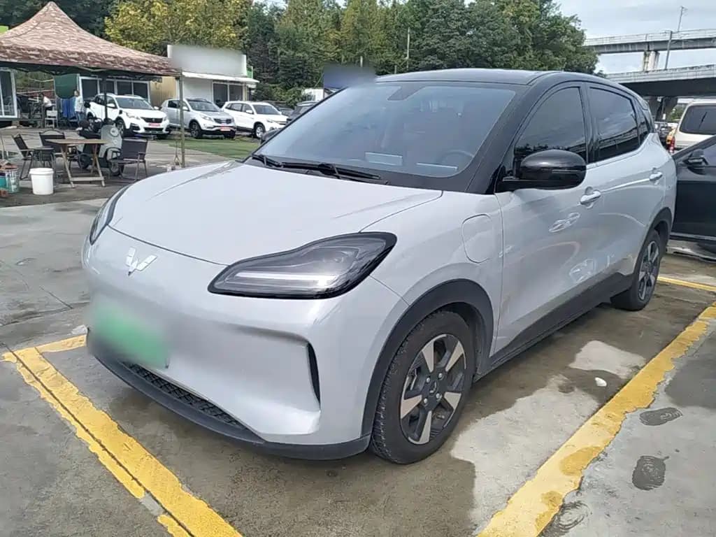 Wuling Motors Wuling Binguo PLUS 2024 Model 510km Flagship Edition 4-Seater