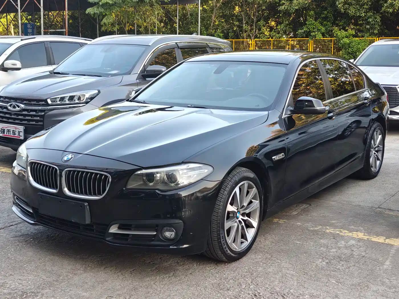 BMW BMW 5 Series 2014 530Li Leading