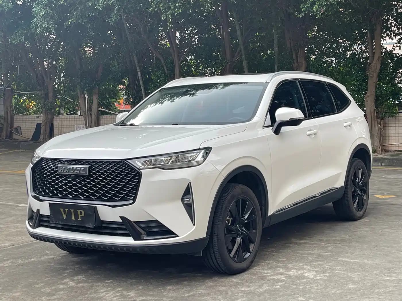 Haval H6 2021 3rd Generation 2.0T Auto AWD Max