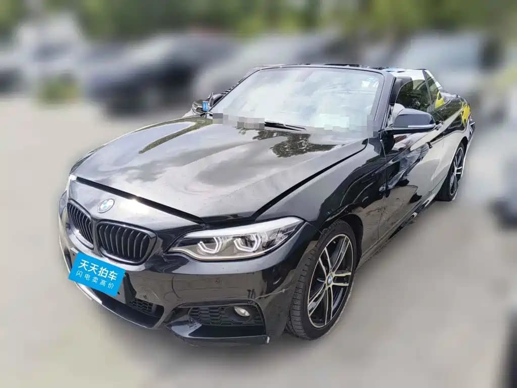 BMW 2 Series (Import) 2019 225i Convertible Coupe Exclusive M Sport Package