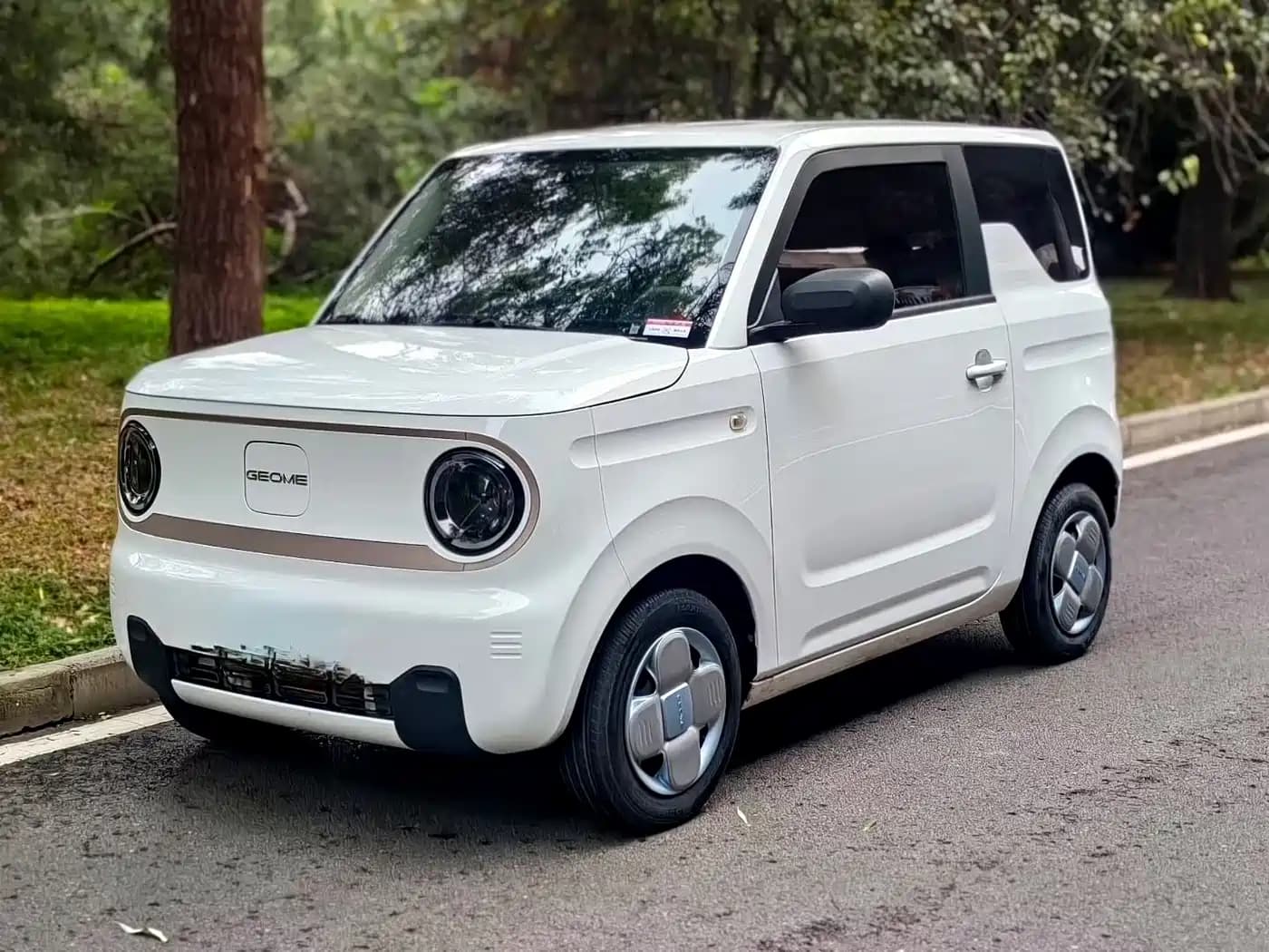Geely Panda Mini Galaxy Panda 2023 200km Endurance Bear