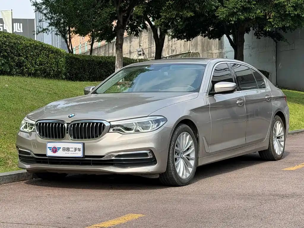BMW BMW 5 Series 2020 530Li Leading Luxury Package