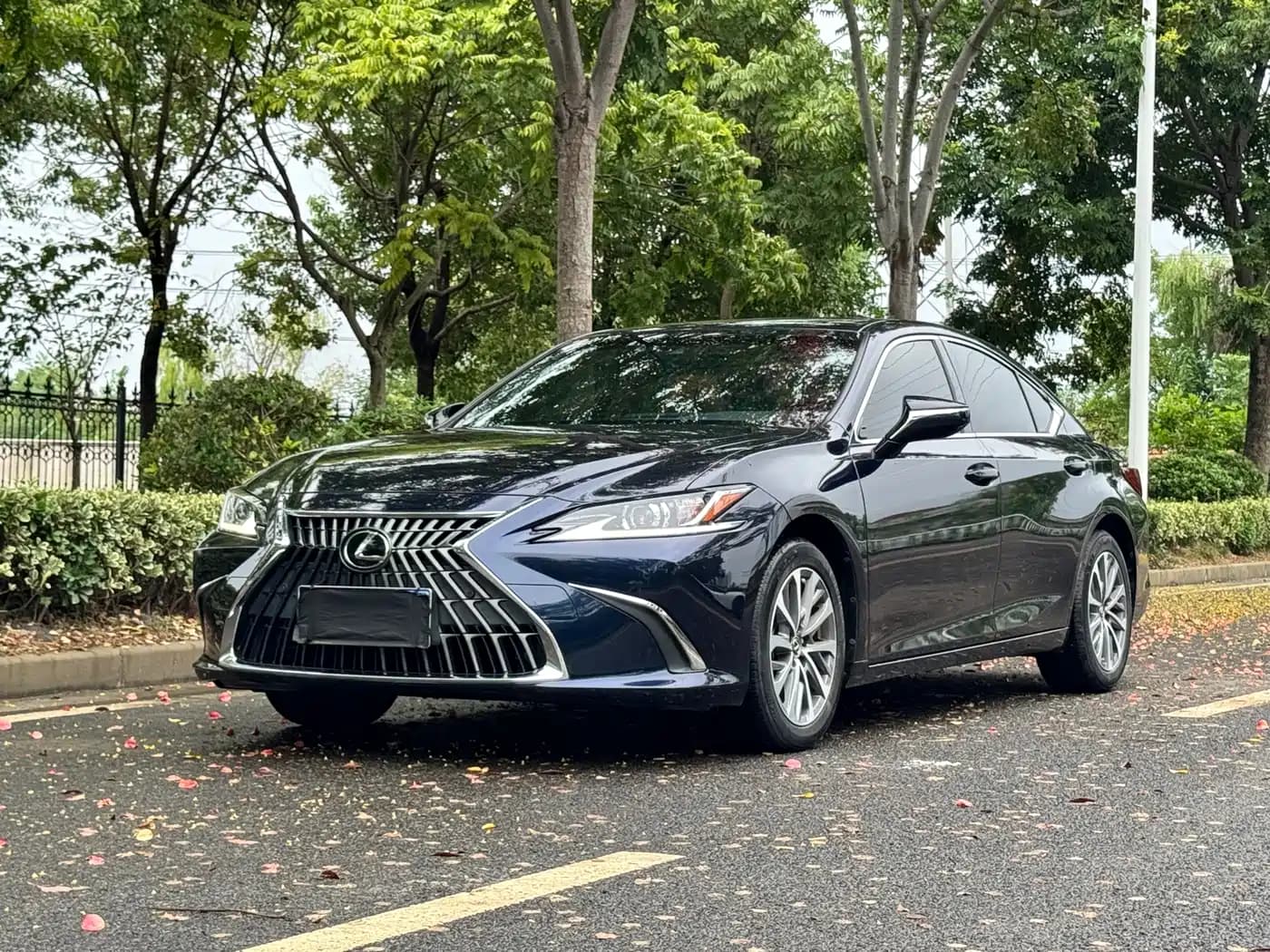 Lexus ES Lexus ES 2021 200 Luxury Edition