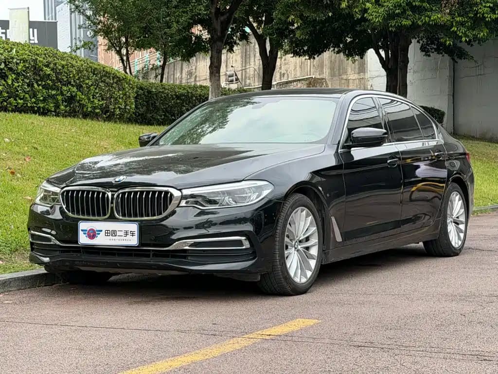 BMW 5 Series 2020 530Li Premium Luxury Package