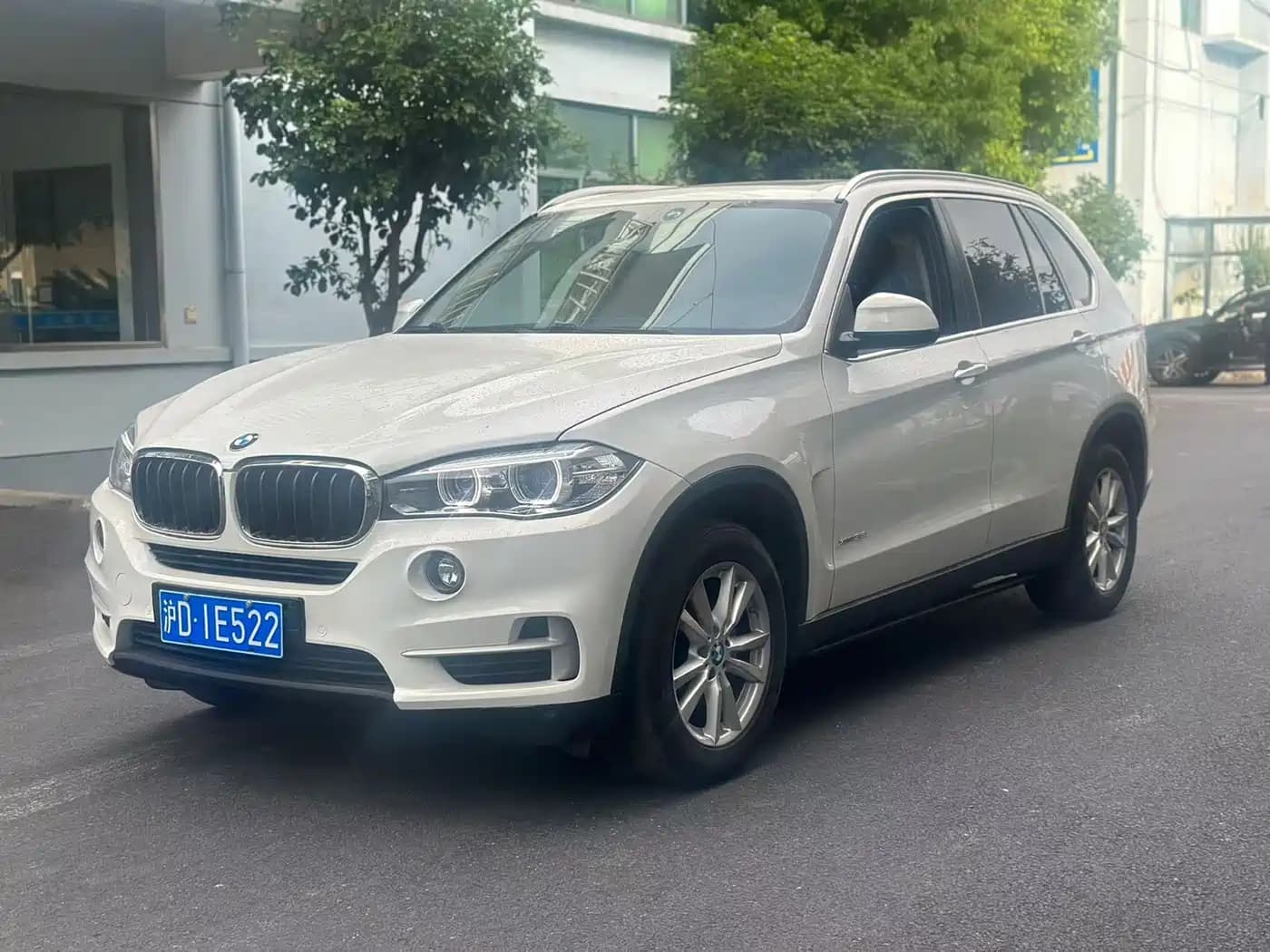 BMW BMW X5 (Import) 2018 xDrive35i Elegant Model