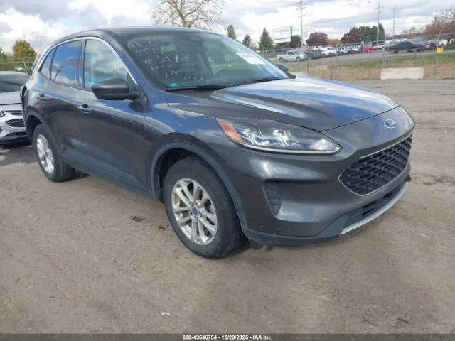 Ford Escape, SE