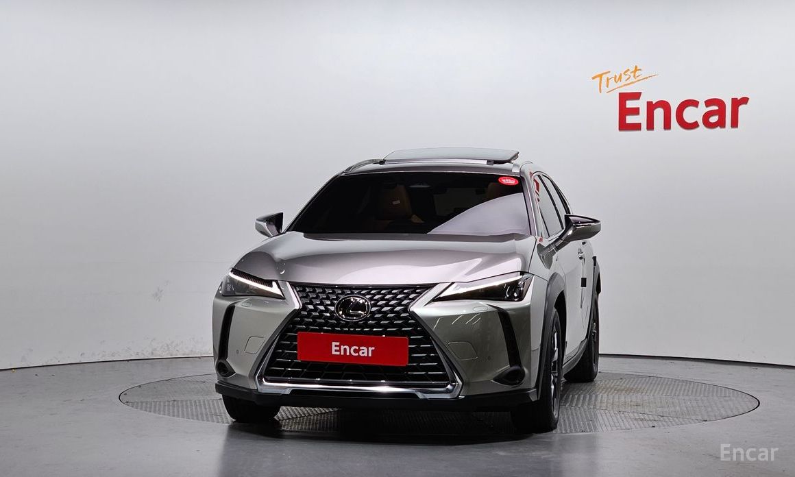 Lexus UX300h 2.0 2WD